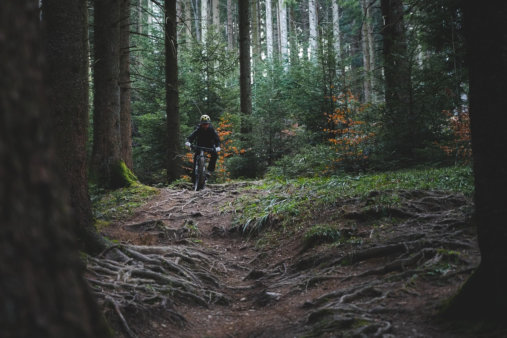 Mountainbiker auf einem Waldtrail bei Garmisch-Partenkirchen