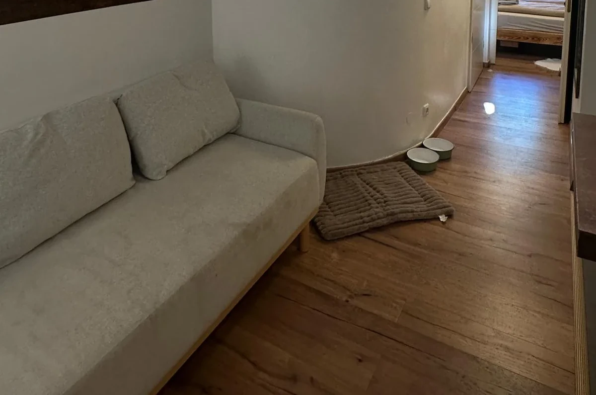 Hundenapf und Kuscheldecke im Wohnbereich